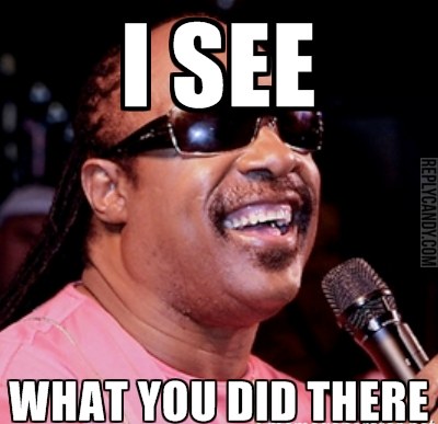 Stevie-Wonder-I-See-What-You-Did-There.jpg